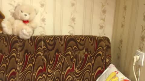 Snapshot of flowercandydoll chatting on 02/27/25, 08:50 say meow and send tip online show from 02/27/25, 08:50