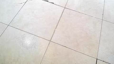 flyckers online show from 09/13/25, 08:19