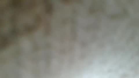 flyn12 online show from 02/21/26, 12:11