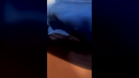 followthepipermore online show from 05/01/26, 06:12