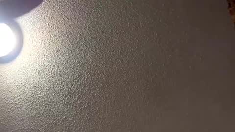 Snapshot of followthewhiterabbittail chatting on 02/16/25, 08:10 Have fun remembering u online show from 02/16/25, 08:10