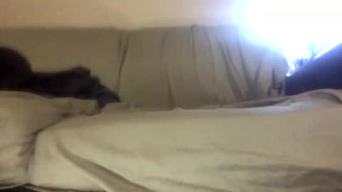 Biglongdong99 online show from 04/22/26, 09:16