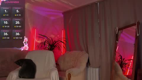    online show from 04/10/26, 02:44