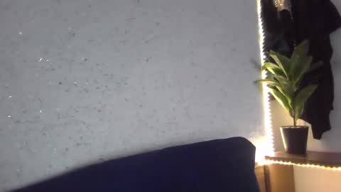 fox_red_lady7 online show from 02/08/25, 08:42