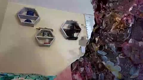 foxyanjel online show from 10/27/25, 04:00