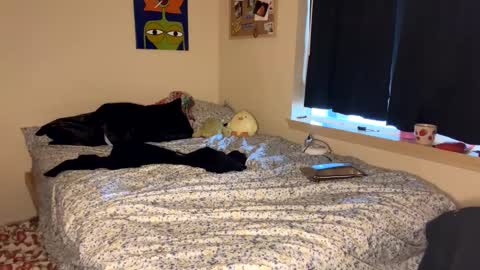 Snapshot of foxyredddd chatting on 01/09/25, 07:18 beautiful blair online show from 01/09/25, 07:18