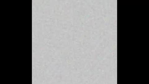 frank online show from 02/01/26, 11:53