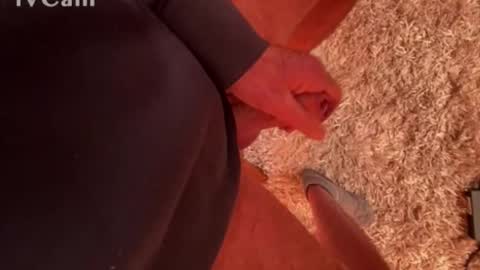 Snapshot of franzleo2903 chatting on 03/04/26, 07:36 franzleo2903 online show from 03/04/26, 07:36