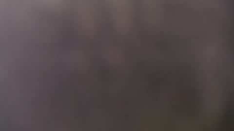 francescosal online show from 05/15/26, 10:44