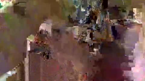 Squirrel twink online show from 11/23/25, 03:39