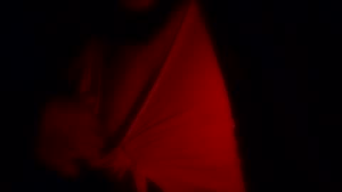 freaky_d48 online show from 11/12/25, 09:32