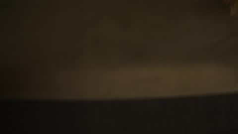 Diyana online show from 10/04/25, 09:57