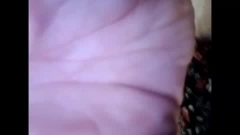frecklesandsparky online show from 04/04/26, 02:25