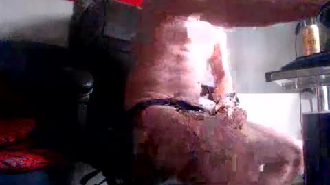 yo online show from 02/28/26, 08:15