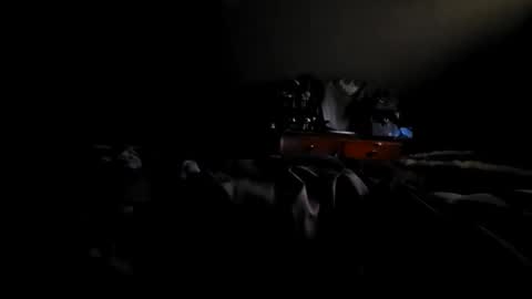 fred online show from 10/19/25, 02:29