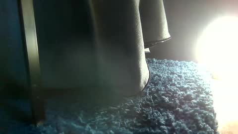 Snapshot of fredthetom12 chatting on 01/16/25, 03:56 Greedy Fred online show from 01/16/25, 03:56