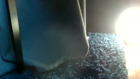 Snapshot of fredthetom12 chatting on 02/06/25, 07:18 Greedy Fred online show from 02/06/25, 07:18