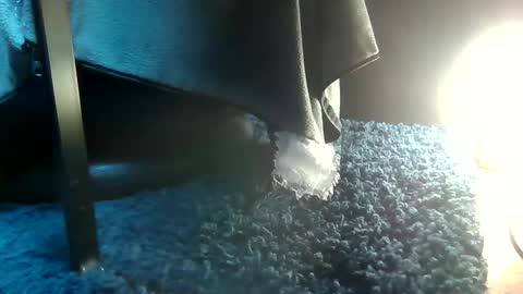 Snapshot of fredthetom12 chatting on 02/15/25, 04:45 Greedy Fred online show from 02/15/25, 04:45