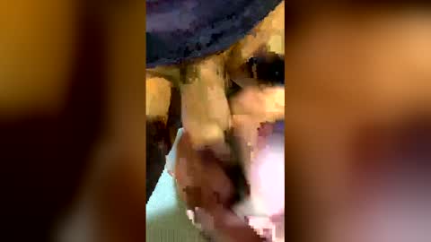 freestpeople online show from 04/14/26, 01:55