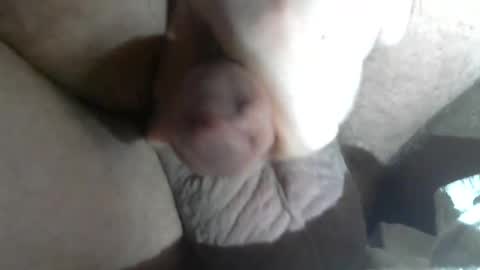 Call me Daddy online show from 02/05/25, 07:07