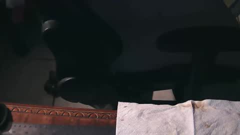 freetryal online show from 11/21/25, 02:21