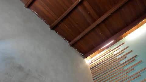 Xavier online show from 03/06/26, 02:08