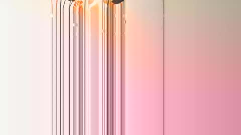 frenchcouple739 online show from 12/13/24, 04:38