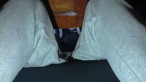 Snapshot of frenchpapalover chatting on 10/31/25, 08:48 frenchpapalover online show from 10/31/25, 08:48