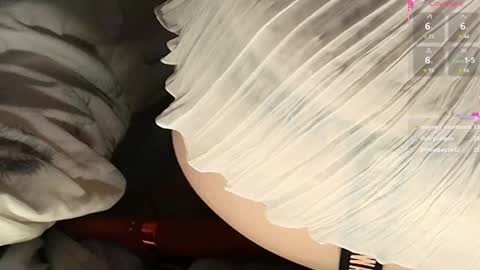 Meadow online show from 02/22/25, 06:08