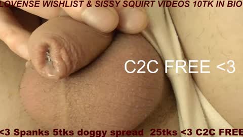 Meadow online show from 02/09/26, 09:24