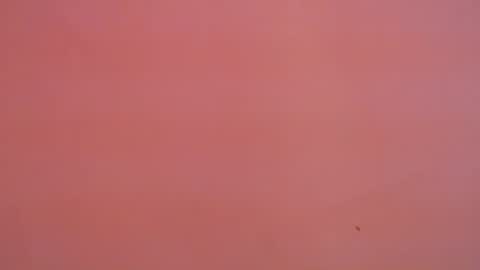 FREYJA LOREN online show from 01/16/25, 11:16