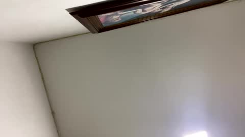 freyrvik online show from 11/23/25, 07:19