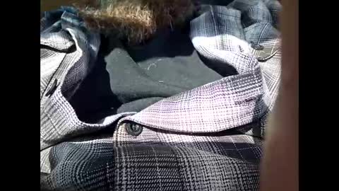 Frickish online show from 01/21/25, 06:55