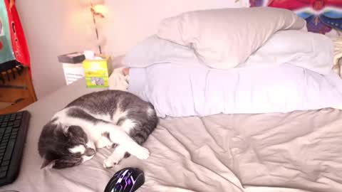 fuckmypussyplz1 online show from 02/01/25, 05:37