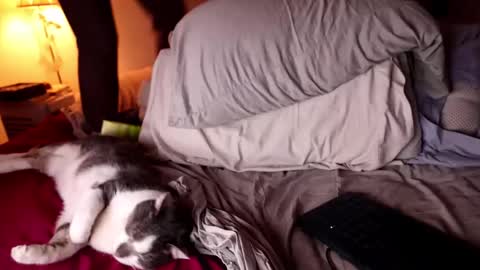 fuckmypussyplz1 online show from 02/03/25, 12:47