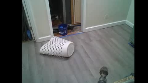 fuckwithmeonetime01 online show from 02/16/26, 10:33