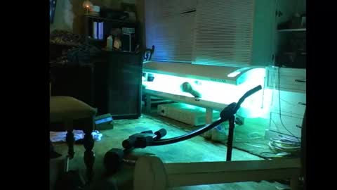 fuckwithmeonetime01 online show from 02/19/26, 03:35