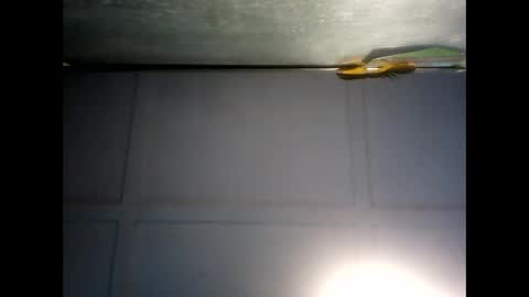 Snapshot of fucmebudoo chatting on 12/03/24, 07:21 Warwick online show from 12/03/24, 07:21