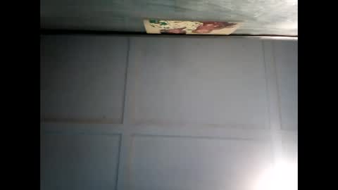 Snapshot of fucmebudoo chatting on 12/11/24, 07:31 Warwick online show from 12/11/24, 07:31