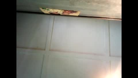 Snapshot of fucmebudoo chatting on 12/12/24, 01:10 Warwick online show from 12/12/24, 01:10