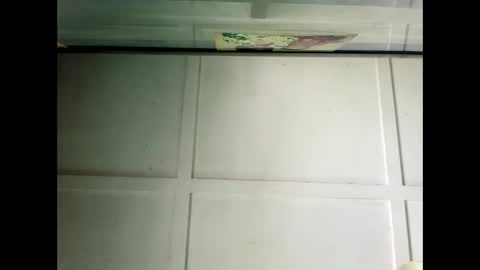 Snapshot of fucmebudoo chatting on 12/19/24, 02:56 Warwick online show from 12/19/24, 02:56