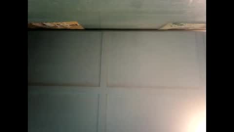 Snapshot of fucmebudoo chatting on 12/19/24, 06:12 Warwick online show from 12/19/24, 06:12