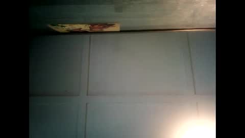 Snapshot of fucmebudoo chatting on 12/21/24, 01:26 Warwick online show from 12/21/24, 01:26