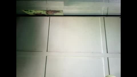 Snapshot of fucmebudoo chatting on 12/23/24, 02:24 Warwick online show from 12/23/24, 02:24