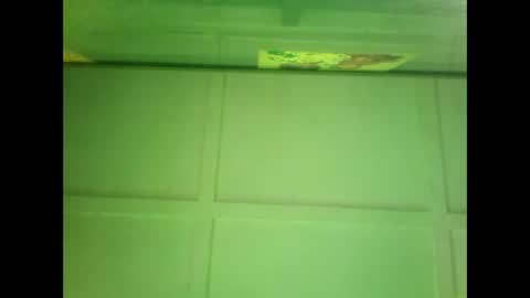 Snapshot of fucmebudoo chatting on 12/27/24, 06:57 Warwick online show from 12/27/24, 06:57