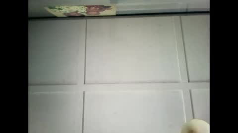 Snapshot of fucmebudoo chatting on 12/29/24, 02:38 Warwick online show from 12/29/24, 02:38