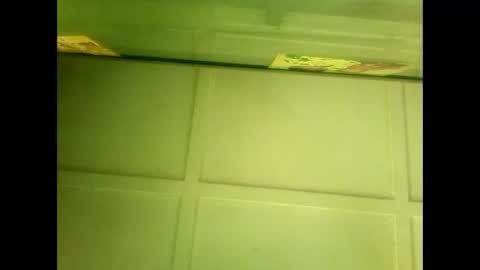 Snapshot of fucmebudoo chatting on 01/07/25, 05:43 Warwick online show from 01/07/25, 05:43