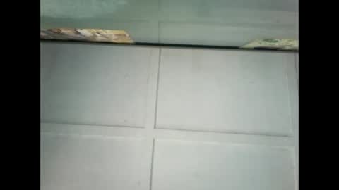 Snapshot of fucmebudoo chatting on 01/09/25, 10:09 Warwick online show from 01/09/25, 10:09