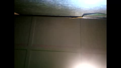 Snapshot of fucmebudoo chatting on 01/11/25, 09:47 Warwick online show from 01/11/25, 09:47