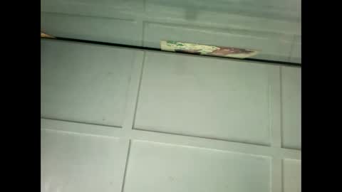 Snapshot of fucmebudoo chatting on 01/18/25, 11:55 Warwick online show from 01/18/25, 11:55